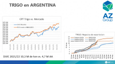 Trigo: Volver al pasado afecta al mercado del cereal, con Lorena D´Angelo - Clínica de Granos