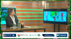 ¿Qué hay de nuevo en semillas de forrajeras y cultivos de servicios?