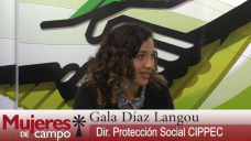 MDC: Pobreza, mal nutrición y falta de oportunidades: un flagelo social por cambiar; con G. D. Langou