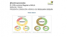 Trigo: otra vez sopa.. Chicago ya perdió prácticamente todo lo ganado en la primer quincena de julio, con Paulina Lescano - Clínica de Granos