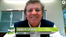 El mundo post-COVID necesitará mucha Fruta, y... ¿qué hacemos?; con Adolfo Storni - Extraberries