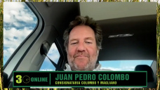 Buena demanda de cría e invernada, campos con pasto, y complicada la reposición; con Juan P. Colombo - consignatario