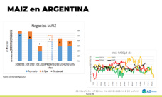 Maíz: La oferta argentina se siente en el mercado; con Lorena D´Angelo - Clínica de Granos