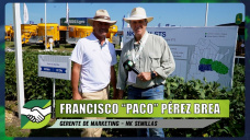 Lo nuevo en genética de Soja con más rinde y muy buena agronomía; con Paco Pérez Brea - NK