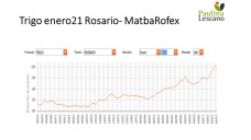 Trigo: la producción se va achicando.. y como no puede ser de otra manera, los precios van creciendo, con Paulina Lescano - Clínica de Granos