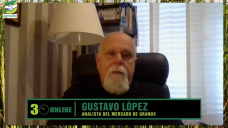 ¿Cómo comercializar los Granos 