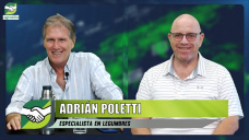 Un año para sembrar Arvejas: perfiles cargados, buenos precios, óptima rotación; con Adrián Poletti - agrónomo