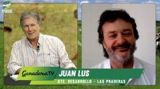 La clave de la productividad y los Kgs en Ganadería está en las Pasturas; con Juan Lus - agrónomo