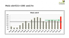 Maíz: avanza la siembra en Argentina, a pesar de no contar con buena humedad, con Paulina Lescano - Clínica de Granos
