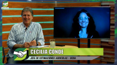 Con Niño y agua en Septiembre, ¿llegamos a 135 Mill. tons de producción?; con Cecilia Conde - BCBA