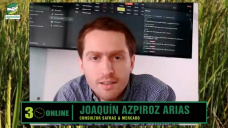 ¿Aumentarán mucho los precios de Soja y Maíz si no llueve en Enero en Brasil?; con J. Azpiroz - Safras & Mercados 