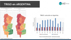 Trigo: Los márgenes 24/25 no cierran, ¿qué hacer?; con Lorena D´Angelo - Clínica de Granos