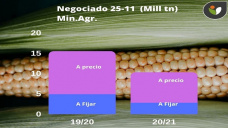 Maíz: la falta de lluvias se hace sentir en Argentina y le dan sostén a los precios, de 