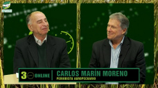 ¿Qué cultivos son rentables?, ¿al final Girasol y Ganadería en campo mixto?; con C. Marín Moreno - agrónomo 