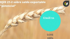 En soja estaría ya decidido el aumento en los Esperemos que en Trigo no ocurra lo temido..., con Paulina Lescano - Clínica de Granos