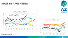 Maíz: El cereal continúa firme por el deterioro de los cultivos, con Lorena D´Angelo - Clínica de Granos