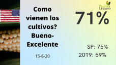 El maíz se sigue manteniendo en Chicago, y casi sin darnos cuenta nos vamos acercando al mercado climático, con Paulina Lescano - Clínica de Granos