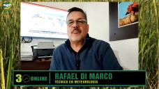 En fase de Neutralidad 