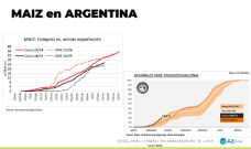 Maíz: DEX, exportaciones y precios, entre la presión y la oportunidad; con Lorena D´Angelo - Clínica de Granos