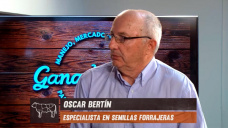 El Nuevo concepto de -Secuencia de Cultivos- para alimentación ganadera; con O. Bertín