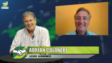 ¿Cómo cambiaron cultivos, números, 