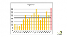 Trigo: menos producción... y demanda internacional alcista, podríamos pensar en mayores subas de precio.. o no.., con Paulina Lescano - Clínica de Granos