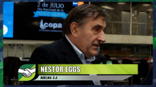 Cómo hacen los productores Avícolas para 