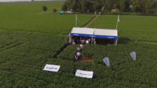 La nueva tecnología a campo en fungicidas para Soja de Syngenta