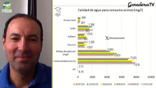 Ganadería de precisión: el agua entra en el centro de la escena; con Dante Garciandía - productor