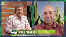 ¿Qué va a pasar con la siembra de Maíz, nuevos híbridos y existencias?; con Paco Perez Brea - NK