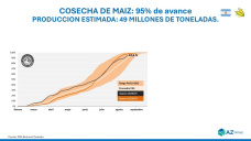 Maíz: El mercado reacciona sorprendido ante el informe del USDA; con Sofia Gayo - Clínica de Granos