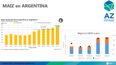 Maíz: mejora más el precio local que el internacional, con Lorena D´Angelo - Clínica de Granos