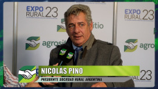 ¿Cómo fue la interna del abrazo de Massa a Nicolás Pino que divide al Campo?