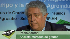 TV: ¿Que viene por delante en granos y que hacer para no seguir perdiendo?; P. Adreani