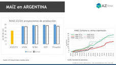 Maíz: El clima igualmente impactó en la cosecha 23/24 del cereal; con Lorena D´Angelo - Clínica de Granos