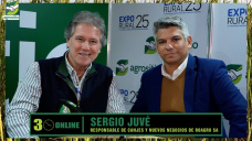 Soja y maíz: se frenan las ventas y crecen las operaciones a fijar, ¿qué hacer?; con Sergio Juvé - Roagro