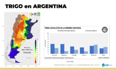 Trigo: La demora en la cosecha no ayuda a los precios; con Lorena D´Angelo - Clínica de Granos
