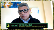 ¿Vender Maíz ó Soja?, ¿