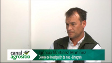 TV: Híbridos de maíz, agua y germoplasma... la clave para la elección en gruesa