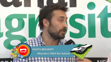 TV: Cómo hacer para transformar al productor en un agroempresario fuerte; con F. Brighenti