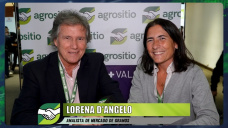 El desafío de navegar en un mercado de Granos para 