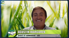 Campo y financiamiento: ¿conviene endeudarse en $ o U$S para la campaña?; con A. Ibarguren - ICBC