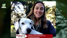 De artista en EEUU a productora de aves y huevos a campo en Pellegrini; con Maca Etcheberry
