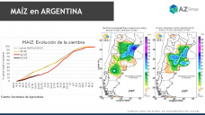 Maíz: El clima ayuda a los precios del cereal, con Lorena D´Angelo - Clínica de Granos