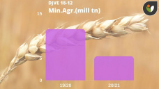 Trigo: avanza la cosecha, pero no avanzan ni las ventas locales ni las ventas al exterior, con Paulina Lescano - Clínica de Granos