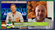 ¿Cómo ve un productor y agrónomo pampeano 