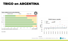 Trigo: Precios que siguen a la baja para el cereal; con Lorena D´Angelo - Clínica de Granos