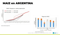 Maíz: El precio del cereal sigue alto ¿podrá continuar así?; con Lorena D´Angelo - Clínica de Granos