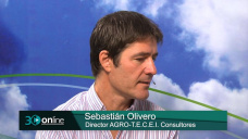 30 online B5: Arquitectura comercial: ¿qué granos vender, como calzarnos y cual embolsar?; con Sebastián Olivero 