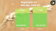 Trigo: en Chicago volviendo al comienzo, en medio del avance de cosecha del hemisferio norte, con Paulina Lescano - Clínica de Granos